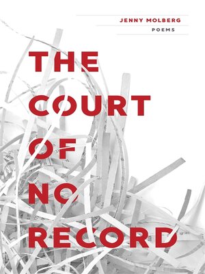 cover image of The Court of No Record